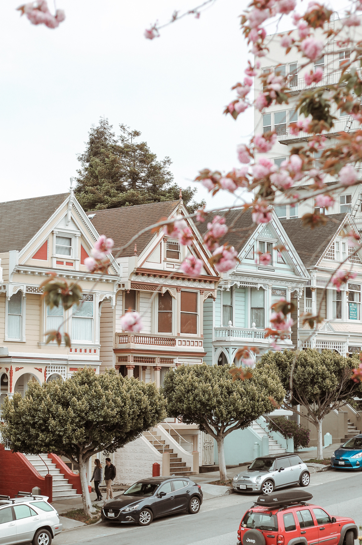 painted ladies san francisco