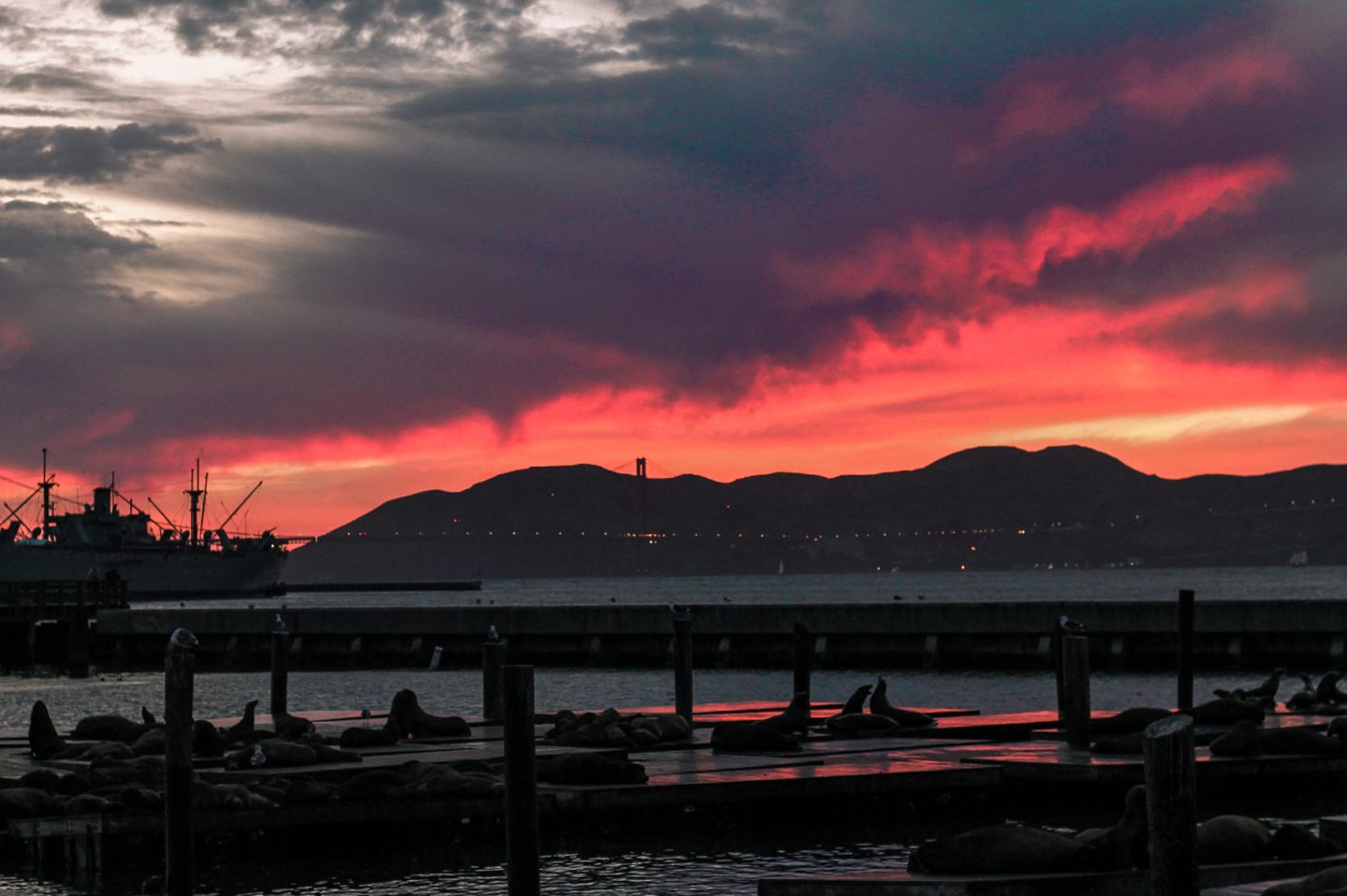 san fran pier 39 places to visit